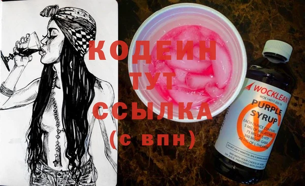 прущий лед Богданович