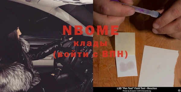 прущий лед Богданович