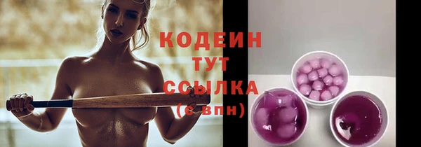 прущий лед Богданович