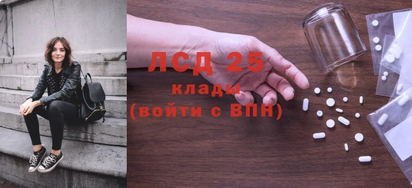 прущий лед Богданович