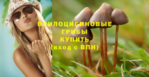 MDMA Богородск